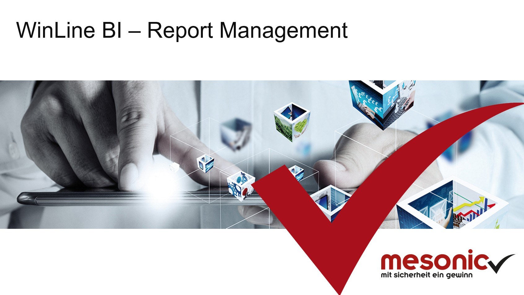BI Report Mangement