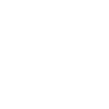 Icon POS net